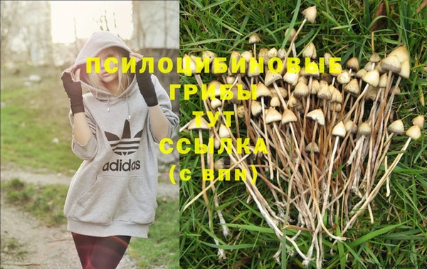 не бодяженный Абинск