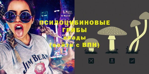 шишки Лагань
