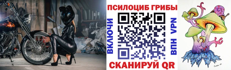 Псилоцибиновые грибы ЛСД  где найти наркотики  Грозный 