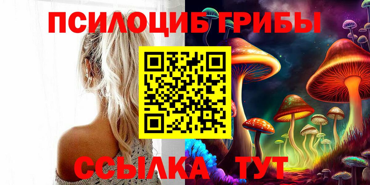 Грозный  Галлюциногенные грибы GOLDEN TEACHER  Псилоцибиновые грибы мицелий  Вход с VPN 