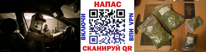 Канабис план Грозный